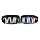 BMW X1 E84 2009-2015 Nieren M-Look (M-Color) Foto 4