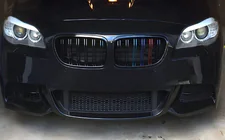 BMW X1 E84 2009-2015 Nieren M-Look (M-Color) Foto 1