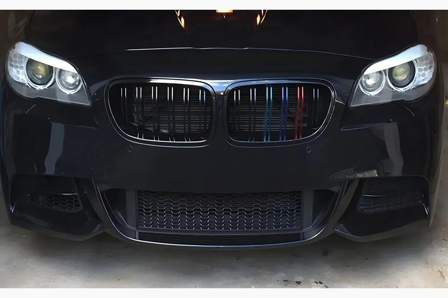 BMW X1 E84 2009-2015 Nieren M-Look (M-Color) Image