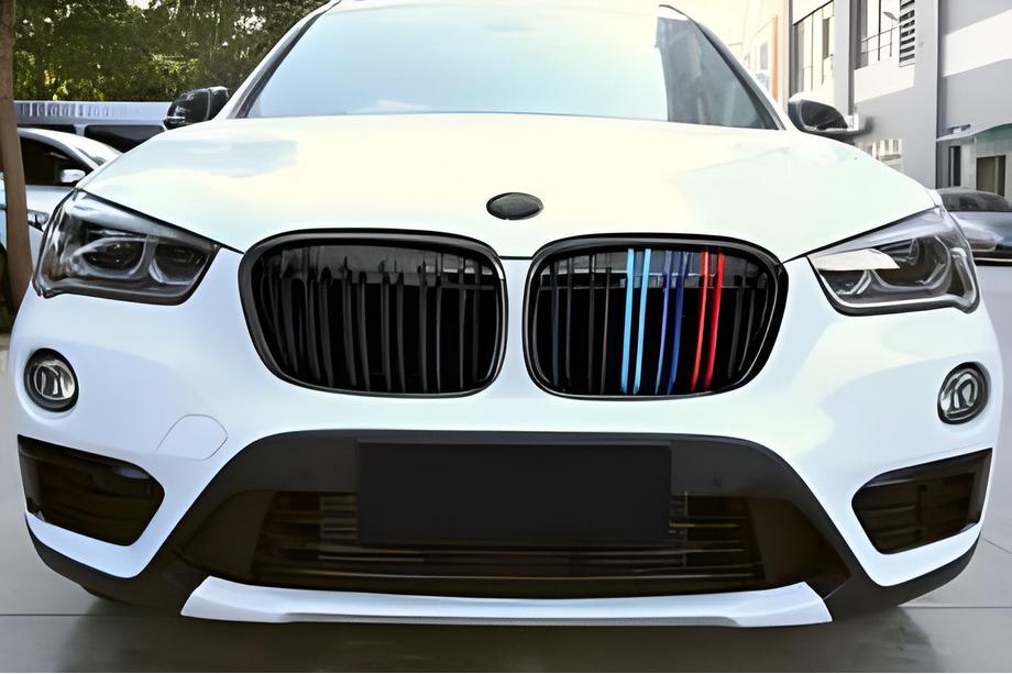 BMW X1 F48 2015-2022 Nieren M-Look (2015-2019, M-Color) Image
