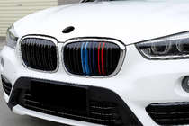 BMW X1 F48 2015-2022 Nieren M-Look (2015-2019, M-Color mit Chromrahmen) Foto 1