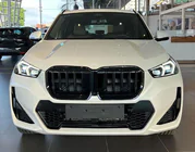 BMW X1/iX1 (U11) 2022- Nieren 1 Bar (Schwarz Glanz) Foto 1