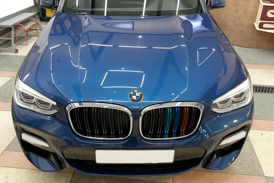 BMW X3 G01 2018- Nieren M-Look (2018-2021, M-Color mit Chromrahmen) Foto 1