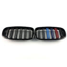 BMW X5 E70 2007-2013 Nieren M-Look (M-Color) Foto 6