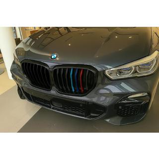 Nieren 1 Bar (2019-2022, M-Color) BMW X5 G05 2019–2026 Foto 1