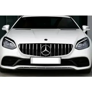 Frontgrill GT Panamericana Foto 4