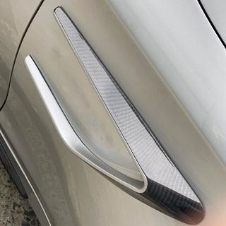 Carbon Abdeckungen für vordere Kotflügel (für Coupe/Cabrio C63 AMG 2015-2019) Foto 3