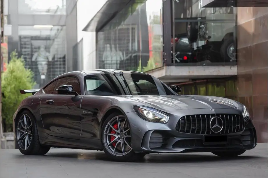 Mercedes AMG GT C190/R190 2014-2022 Frontgrill GT Panamericana (2018+) Image