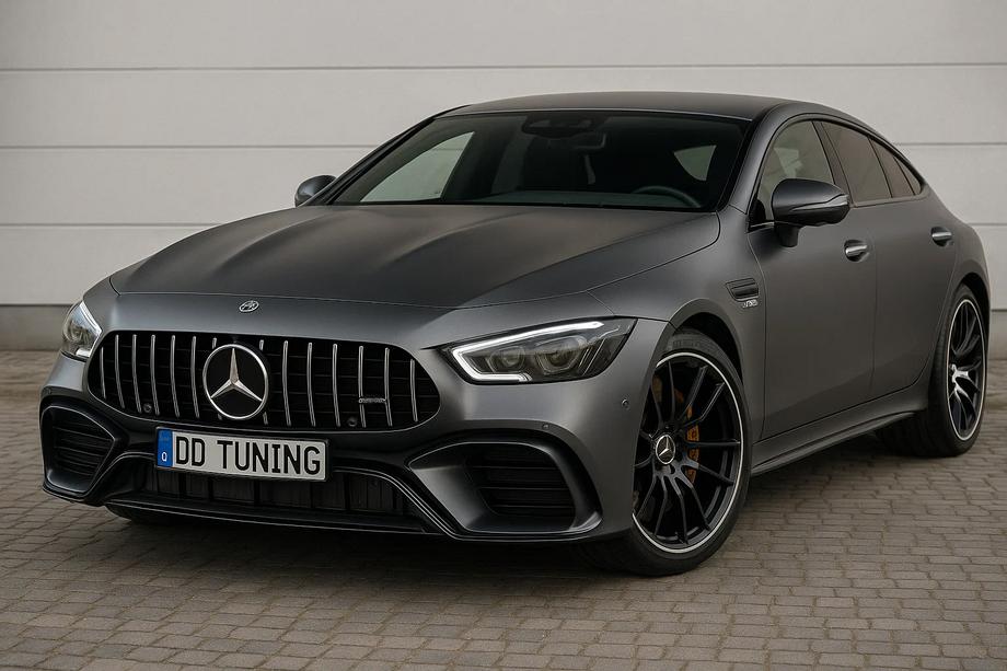 Mercedes AMG GT 4 X290 2018- Frontgrill GT Panamericana (2018-2022) Image