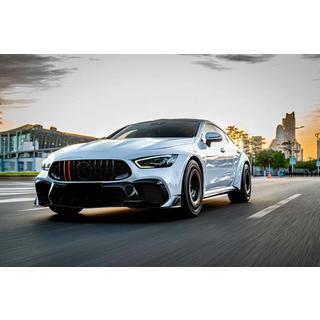 Frontgrill GT Panamericana GT-R (2018-2022) Mercedes AMG GT 4 X290 2018- Foto 3