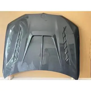 Motorhaube (Carbon) Foto 4