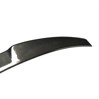Spoiler V5 (für SD, Carbon) Foto 2