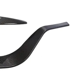 Abdeckungen für Nebelscheinwerfer V2 (2020+, Trockencarbon) Foto 2