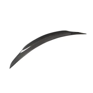 Spoiler V1 (für 2011-2020, Carbon) Foto 2