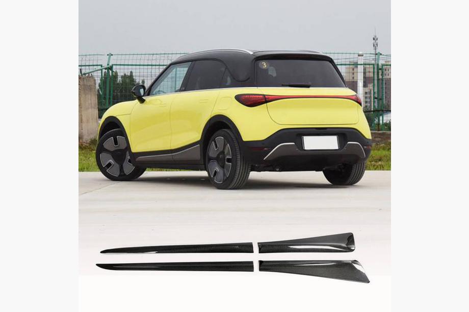 Smart 1 2022- Seitenschweller (Carbon) Image