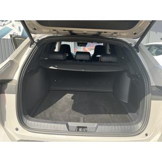 Premium Kofferraummatte Textil (für BYD Song Plus EV, Schwarz) Foto 3