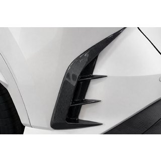 Carbon-Heckstoßstangenabdeckung Lexus RX 2022- Foto 2
