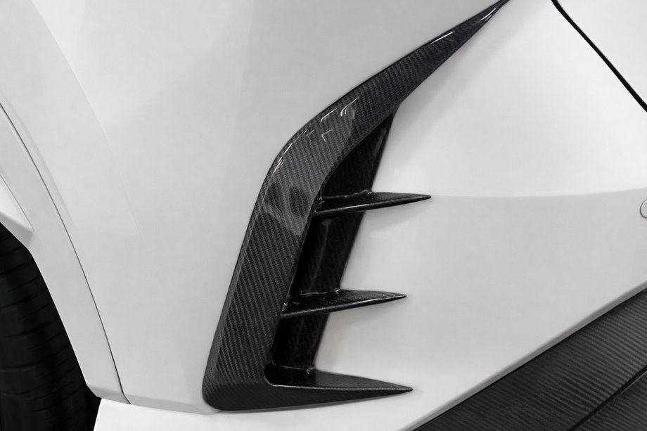 Lexus RX 2022- Carbon-Heckstoßstangenabdeckung Foto 2