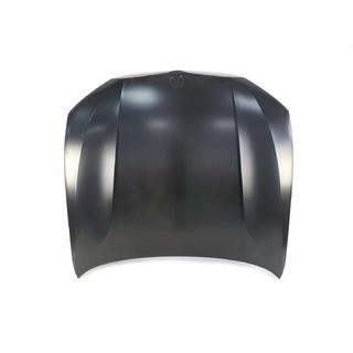 Motorhaube (Aluminium) Foto 1