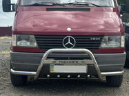 Mercedes Sprinter W901/902/903/904/905 1995–2006 Frontschutzbügel Exclusive (Edelstahl) 2000-2006 Foto 5