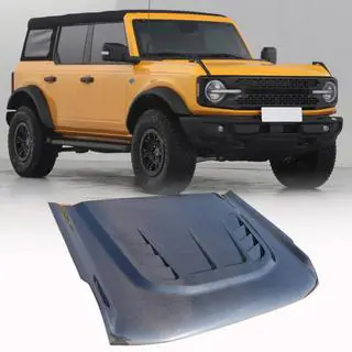 Motorhaube (Carbon) Foto 1
