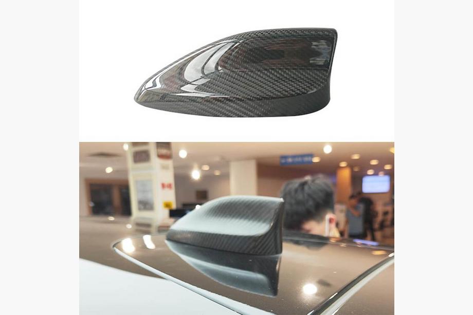 Ford Mustang E-mach 2020- Dachflosse (Carbon) Image