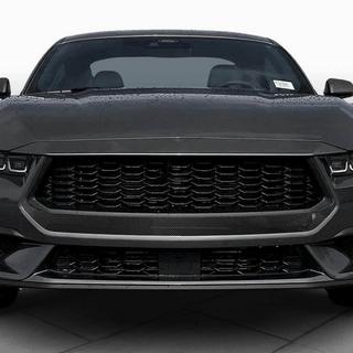 Kühlergrill (für S650, Carbon) Foto 2