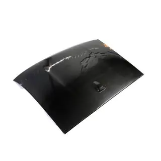 Dachabdeckung Carbon