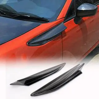 Kotflügelverkleidungen vorne (Carbon) Foto 1