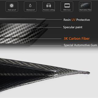 Seitenschweller V1 (Carbon) Foto 4