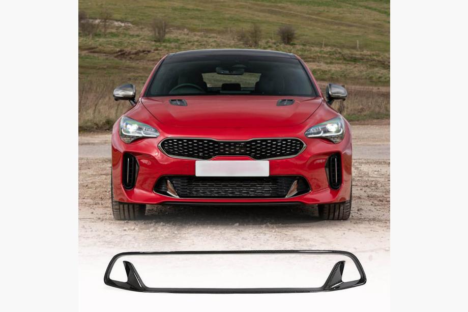 Kia Stinger 2017-2023 Stoßstangengrill (Carbon) Foto 1