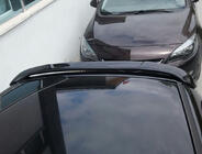Peugeot 206 1998-2024 Dachspoiler Meliset (grundiert zum Lackieren) Foto 4