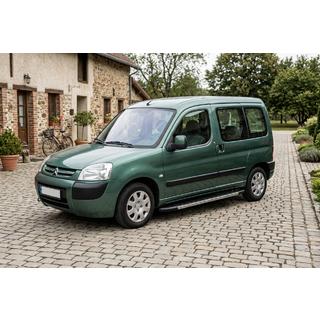 Trittbretter Duru (2 Stk., Aluminium) Citroen Berlingo 1996-2008 Foto 1