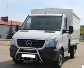 Mercedes Sprinter W906 2006–2018 Frontbügel WT003 (Edelstahl) Foto 7