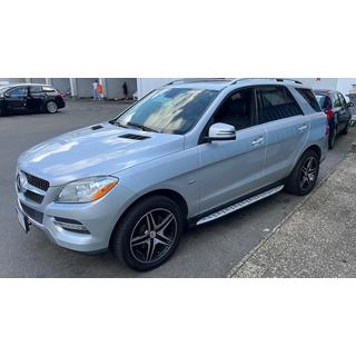 Seitenschweller Original Design (2 Stk., Aluminium) Mercedes GLE/ML сlass W166 2011-2018 Foto 3