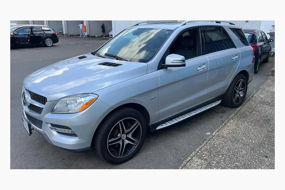 Mercedes GLE/ML class W166 2011-2018 Seitenschweller Original Design (2 Stk., Aluminium) Foto 3