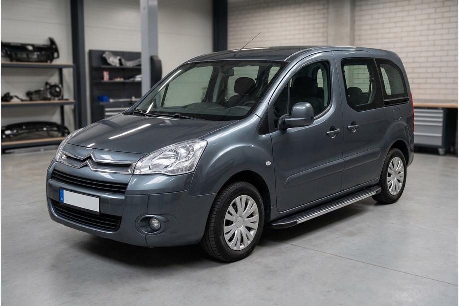 Citroen Berlingo 2008-2018 Trittbretter Duru (2 Stk., Aluminium) Image