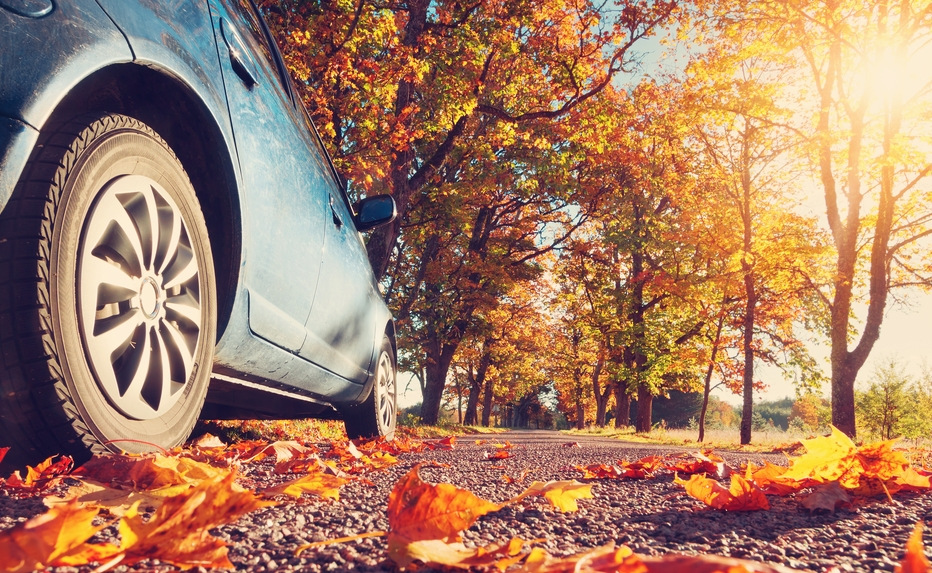 Auto herbstfest machen: Notwendigkeit oder Zeitverschwendung?