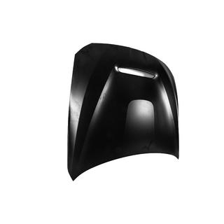 Motorhaube GTS-Style (Aluminium) Foto 3