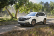 Subaru Forester der sechsten Generation: Crossover-Test Foto 2