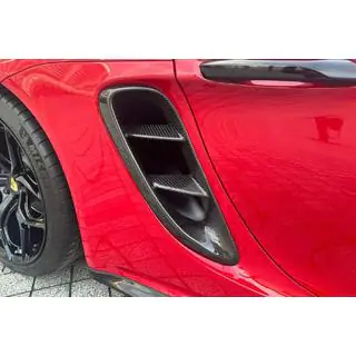 Heckkotflügel Verkleidungen (für GT4, Carbon) Foto 2