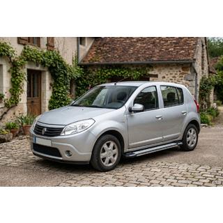 Trittbretter Rainbow (2 Stk., Aluminium) Dacia Sandero 2007-2013 Foto 1