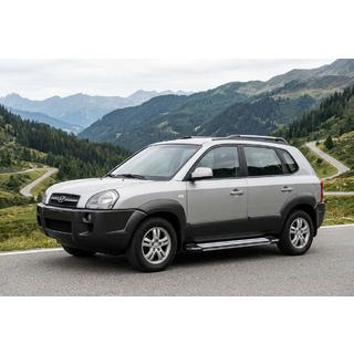 Trittbretter Rainbow (2 Stk., Aluminium) Hyundai Tucson JM 2004- Foto 1