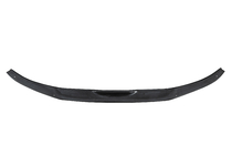 Toyota Land Cruiser 300 2021- Motorhaubenschutz EuroCap Foto 4