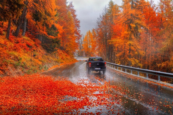 Welche Gefahren birgt der Herbst für Autofahrer?