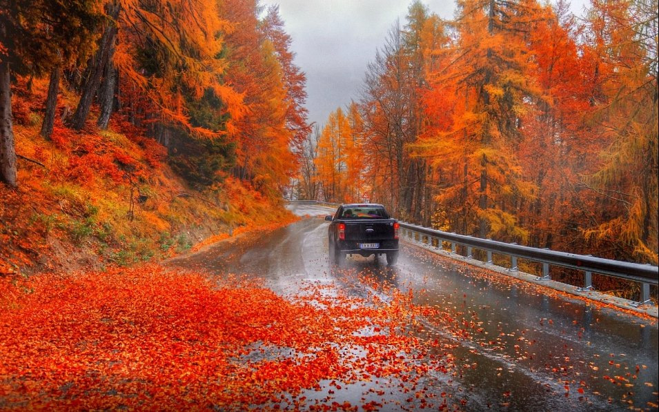 Welche Gefahren birgt der Herbst für Autofahrer?