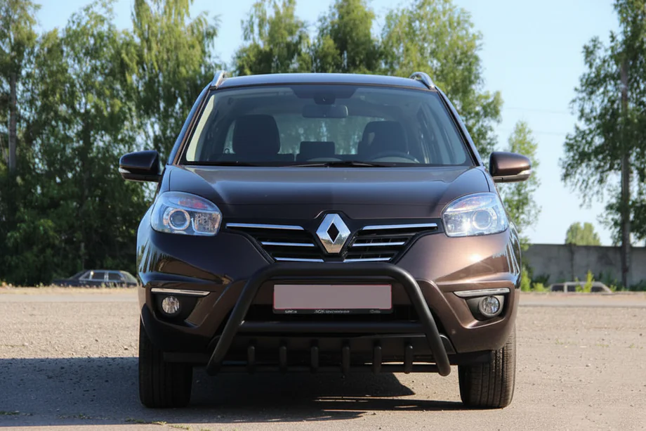 Renault Koleos 2008-2016 Frontschutzbügel WT003 Schwarz (Edelstahl) Foto 8