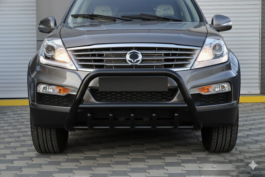 SsangYong Rexton I 2001-2017 Frontbügel WT003 Schwarz Edelstahl Image