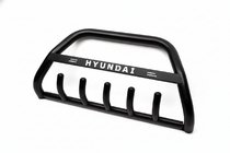 Hyundai H300, H1, Starex 2008-2020 Frontbügel WT004 Schwarz (Edelstahl) Foto 6