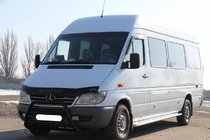 Mercedes Sprinter W901/902/903/904/905 1995–2006 Frontschutzbügel WT003 Schwarz (Edelstahl) 1995-2000 Foto 1